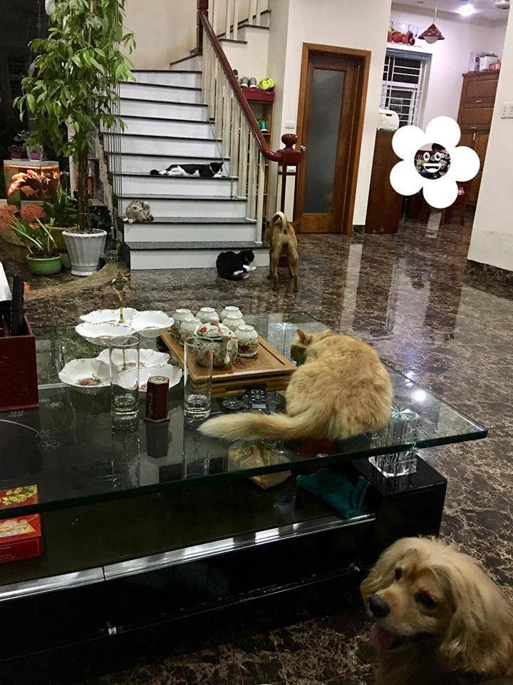 Không gian phòng khách trong nhà Bích Phương. Ảnh: Khám phá.