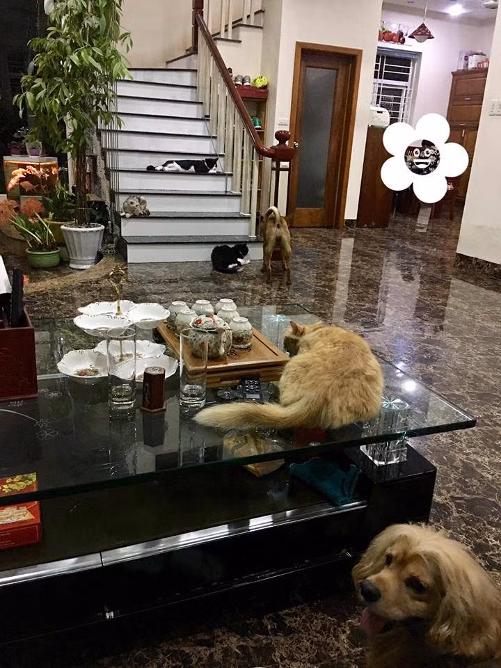 Không gian phòng khách trong nhà Bích Phương. Ảnh: Khám phá.