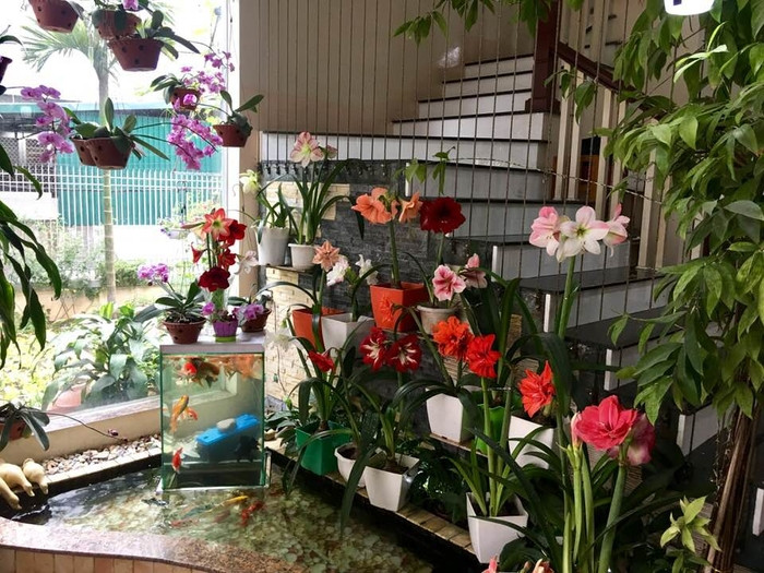 Không gian tràn ngập hoa đẹp tựa như một công viên hoa đầy màu sắc. Ảnh: Khám phá.