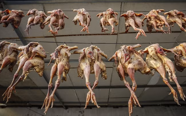 Sau khi mổ phanh con gà còn nguyên lông và lấy phần nội tạng, đầu bếp nhồi Các loại thảo mộc, muối, gia vị vào bên trong con vật một cách nhanh chóng.