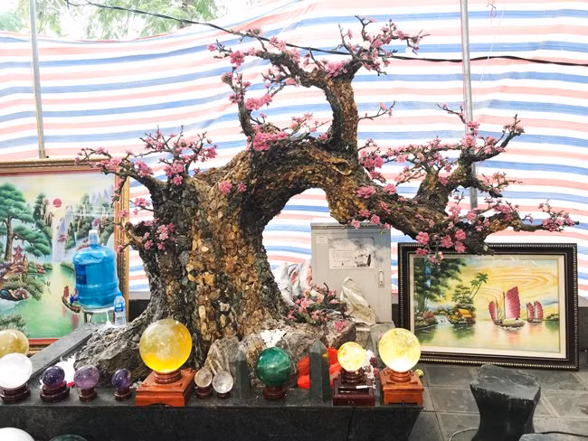 Cây đào này được đặt tên là "Lão đào dáng huyền", nặng 2 tấn, dài 2,75 m, rộng 81 cm, cao 1,85 m. Ảnh: Dân Việt