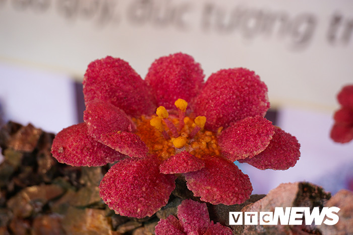 Các thành viên phải mất 8 năm mới tạo nên tác phẩm độc đáo này. Ảnh: VTC.