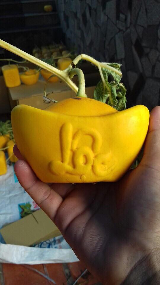 Cũng như bưởi, dưa hấu khắc tỉa các hình dáng độc lạ như hình ông tài lộc, chữ thư pháp: Phúc, Lộc, Thọ...thu hút nhiều khách hàng trong dịp Tết.