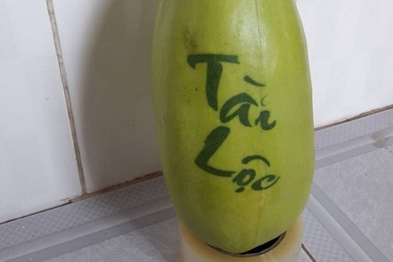 So với bưởi, xoài hay dưa hấu thì đu đủ khắc chữ có giá mềm hơn, phù hợp với túi tiền của nhiều người dân. Hơn nữa, đu đủ in chữ có thể trưng được 10 - 15 ngày, trái vẫn tươi và ăn rất ngon.