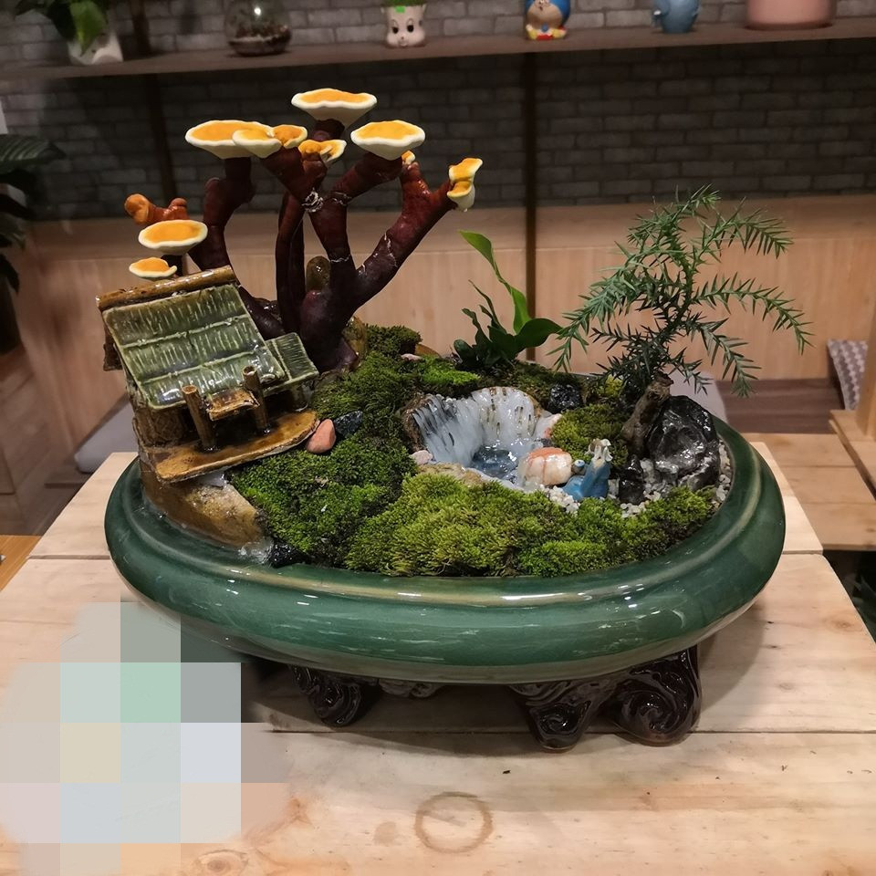 Nhiều khách hàng còn đặt cọc tiền trước để sở hữu chậu kiểng nấm linh chi đẹp đúng dịp Tết Nguyên đán.