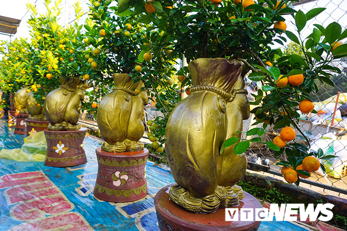 Theo lời giới thiệu của một chủ vườn, những chậu cảnh này được làm từ gốm Phù Lãng, Bắc Ninh. Ảnh: VTC.