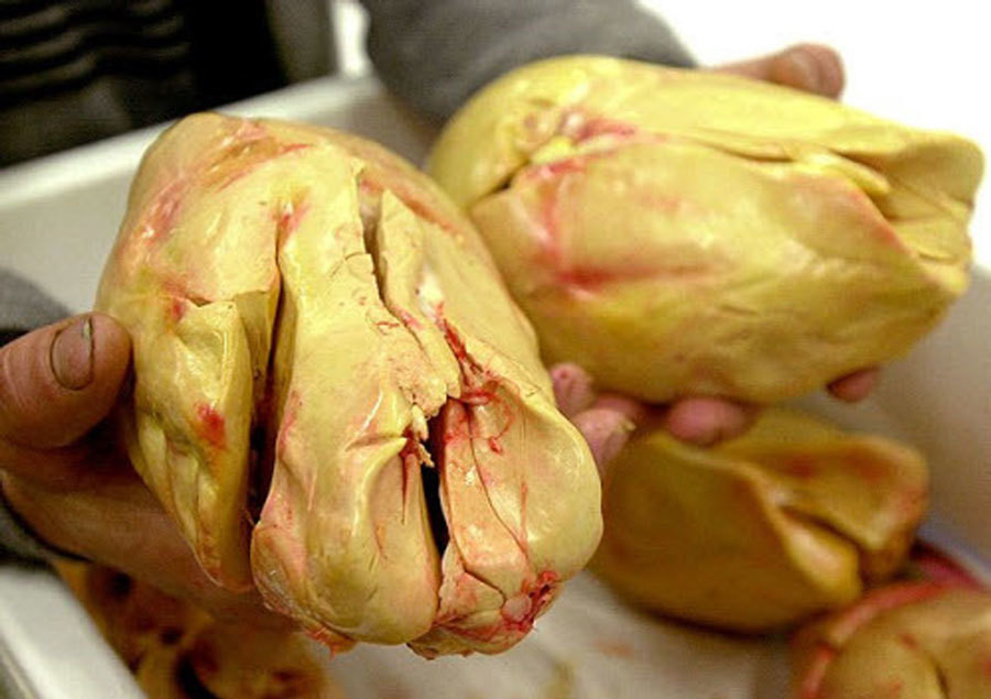 Dan Viet phat cuong, an hang cam o My, nga ngua than duoc Ba Tu