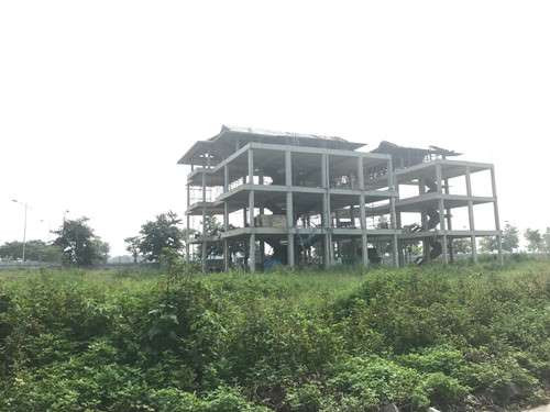 Diem mat hang loat du an vang 