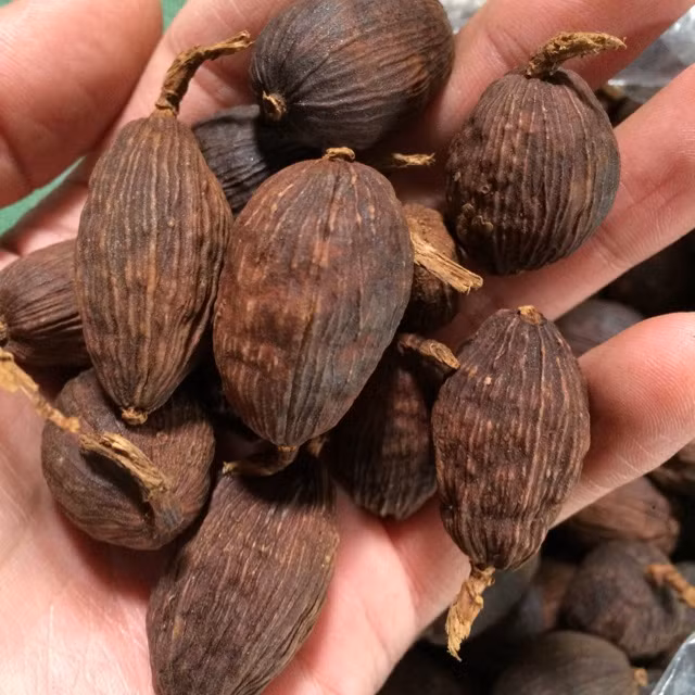 Thảo quả được làm từ hạt của cây thảo quả, một loại gừng có nguồn gốc từ vùng Tây Nam Ấn Độ, sau đó lan rộng ra Sri Lanka và một số nước ở khu vực Đông Nam Á.