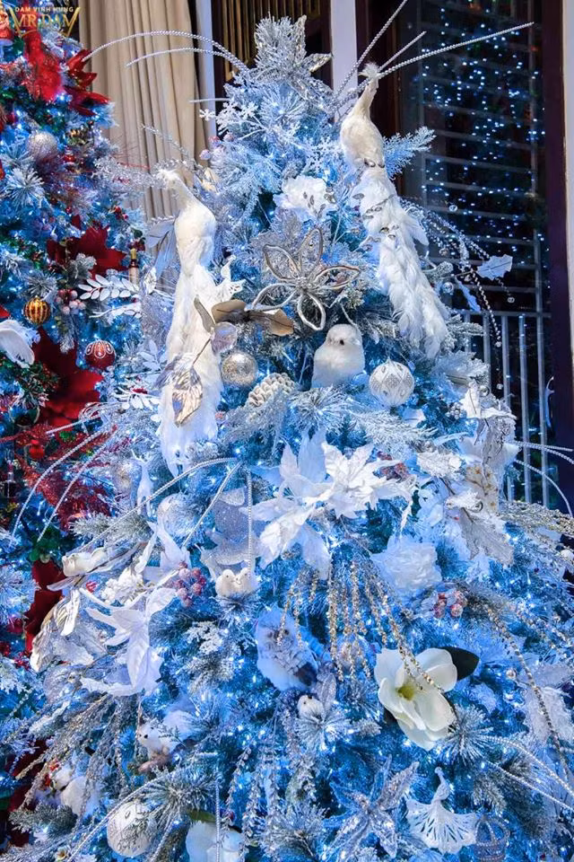 Vì vậy, anh đã phải hoãn lịch và chuyển sang ngày 11/12 mới chính thức mở cửa.