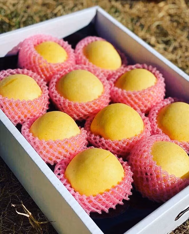 Người bán cho biết đây là táo sạch, không chất bảo quản có giá từ 180.000 - 250.000 đồng/kg. Không ít khách hàng tưởng đây là táo Mỹ. Ảnh: Vietnamnet.