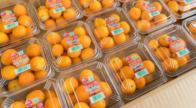 Mua quat Nhat 2 trieu dong/kg ve lam mut an Tet cho sang chanh-Hinh-2