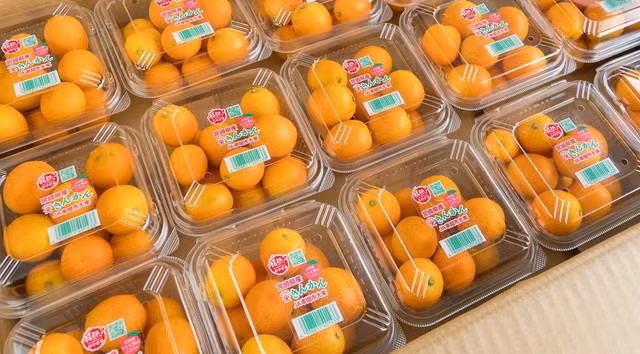 Mua quat Nhat 2 trieu dong/kg ve lam mut an Tet cho sang chanh-Hinh-2