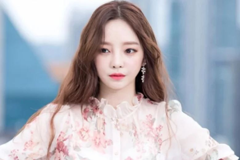 Khối tài sản của Goo Hara được ước tính có giá trị 10 triệu USD (khoảng 240 tỷ đồng), chủ yếu từ việc kinh doanh bất động sản.