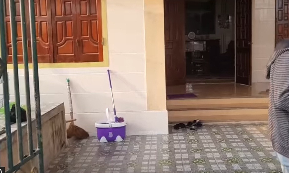 Đây là nơi cả gia đình tụ họp khi trở về quê hương. Ảnh: Youtube.