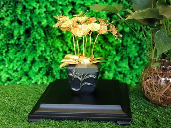Chậu bonsai lan hồ điệp dát vàng được xem là quà tặng ý nghĩa cho thầy cô ngày 20/11. Hoa lan dát vàng mang ý nghĩa của trí tuế, sự thanh cao, lòng biết ơn. Ảnh: MT Gold Art.