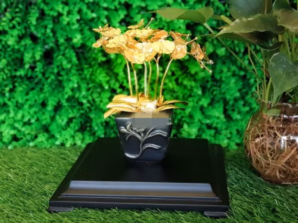 Chậu bonsai lan hồ điệp dát vàng được xem là quà tặng ý nghĩa cho thầy cô ngày 20/11. Hoa lan dát vàng mang ý nghĩa của trí tuế, sự thanh cao, lòng biết ơn. Ảnh: MT Gold Art.