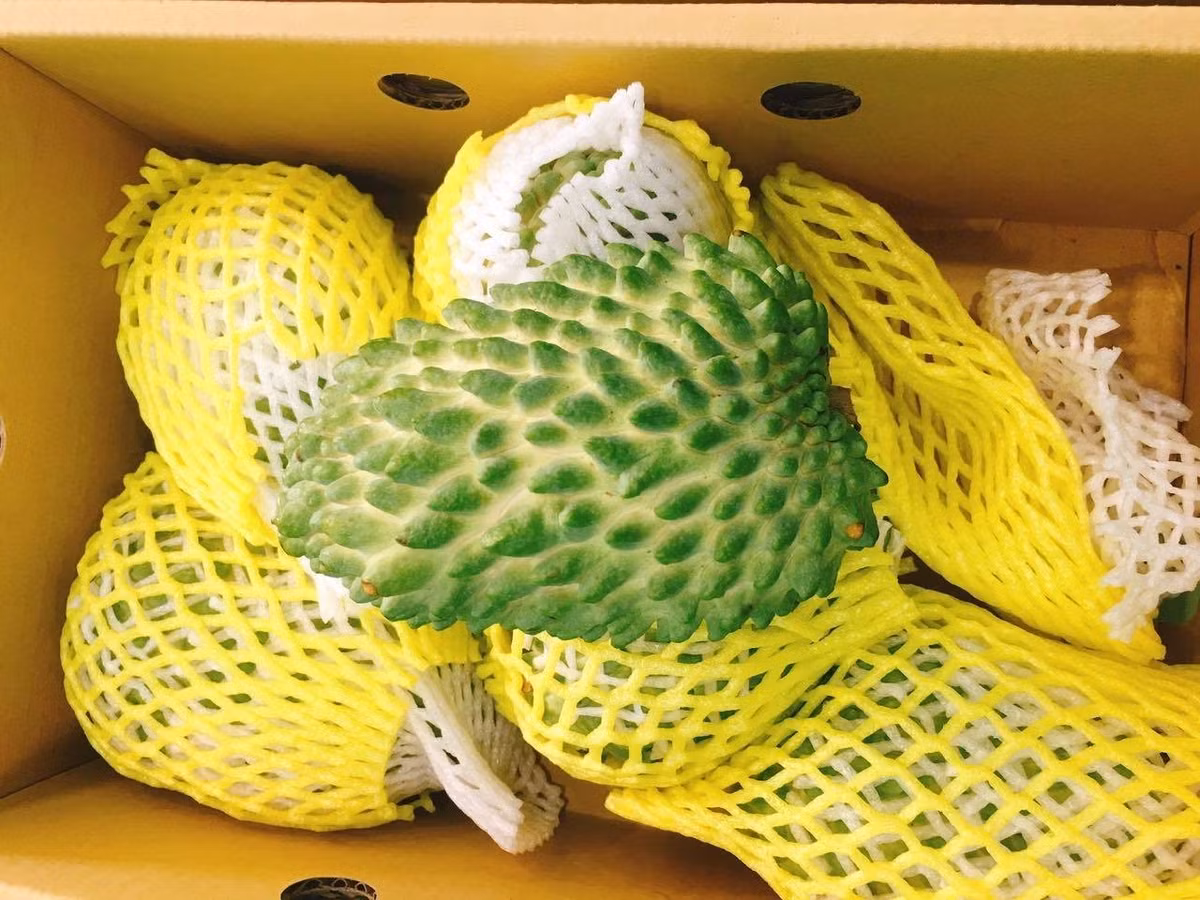 Không quá đắt so với các loại trái cây nhập khầu khác nhưng na dai vị sầu riêng ít nơi bán nên khách đặt mua thường phải chờ.