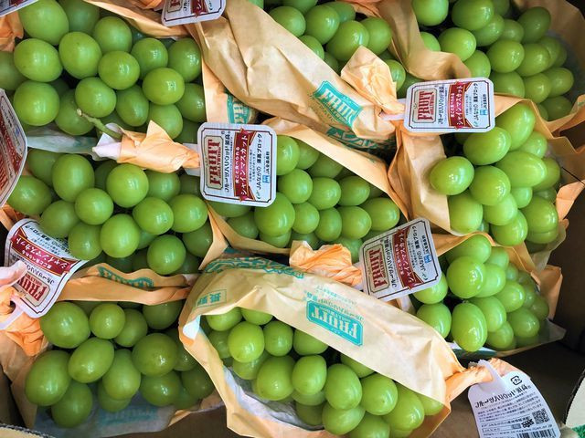 Nhiều loại trái cây cao cấp đã có sẵn tại các cửa hàng để phục vụ người tiêu dùng như nho mẫu đơn Nhật Bản, dâu quạt, sâu riêng Malaysia...Ảnh: Vietnamnet.