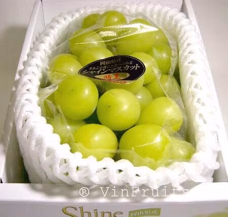 Dù giá cao nhưng không phải khách muốn mua là có. Phần lớn, các cửa hàng chỉ nhập về đủ số lượng nho cho khách đã đặt trước. Ảnh: Vinfruits.