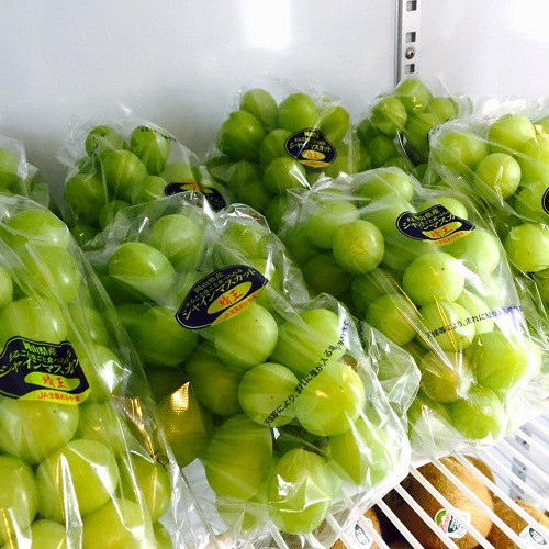 Nho mẫu đơn hay còn gọi là Shine Muscat, là một loại nho nổi tiếng chất lượng cao tại Nhật Bản. Sau khi về Việt Nam, nho mẫu đơn có giá tới 4-5 triệu đồng/kg. Ảnh: Dân Việt.