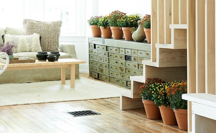 Nếu không gian dưới gầm cầu thang nhỏ thì bạn có thể đặt vài chậu cây cảnh cho căn nhà thêm sinh động. Cách này vừa tiết kiệm lại hiệu quả cao.