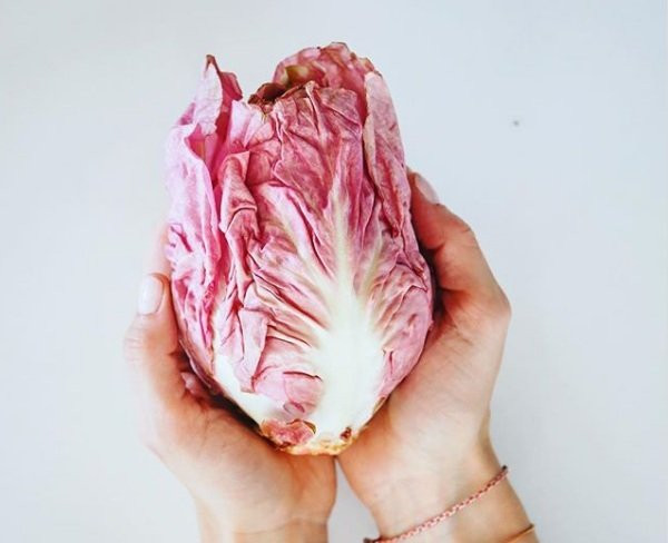 Ngoài màu hồng bắt mắt, loại rau này còn có vị đắng hơn so với loại rau diếp thông thường.