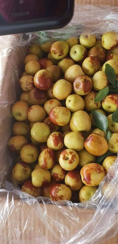 Theo VnExpress, mỗi đêm lượng táo tàu về chợ đầu mối Thủ Đức đạt 31 tấn, với giá bán sỉ 32.000 - 37.000 đồng/kg.