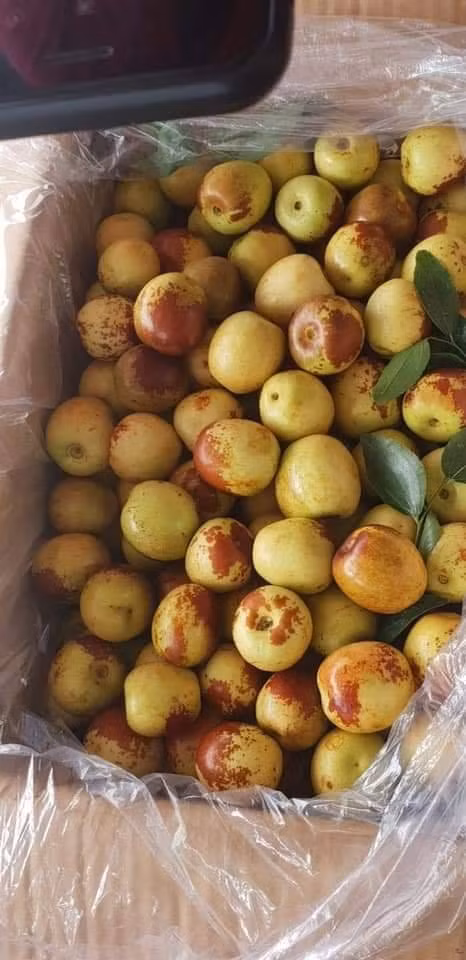 Theo VnExpress, mỗi đêm lượng táo tàu về chợ đầu mối Thủ Đức đạt 31 tấn, với giá bán sỉ 32.000 - 37.000 đồng/kg.