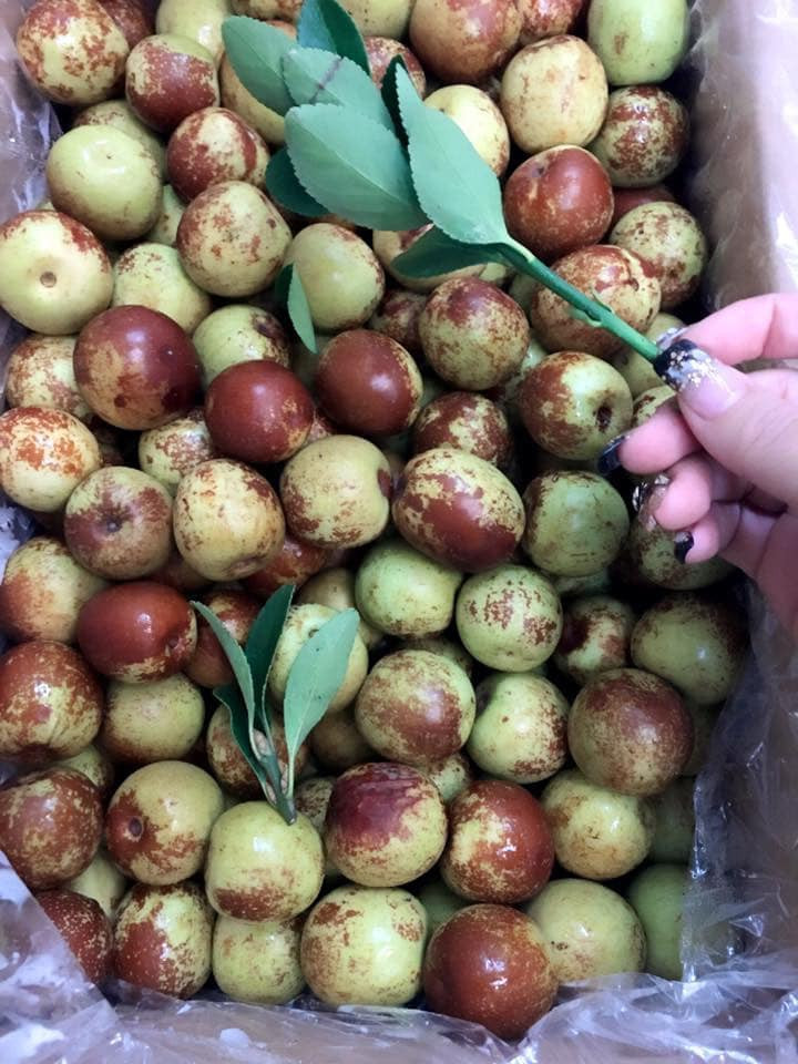 Chia sẻ trên Vnexpress, chị Hoa chuyên bán trái cây ở chợ Xóm Mới (Gò Vấp, TP HCM) cho biết mỗi ngày chị lấy khoảng chục kg táo tàu tại chợ đầu mối Thủ Đức, đều được khách đặt mua hết.