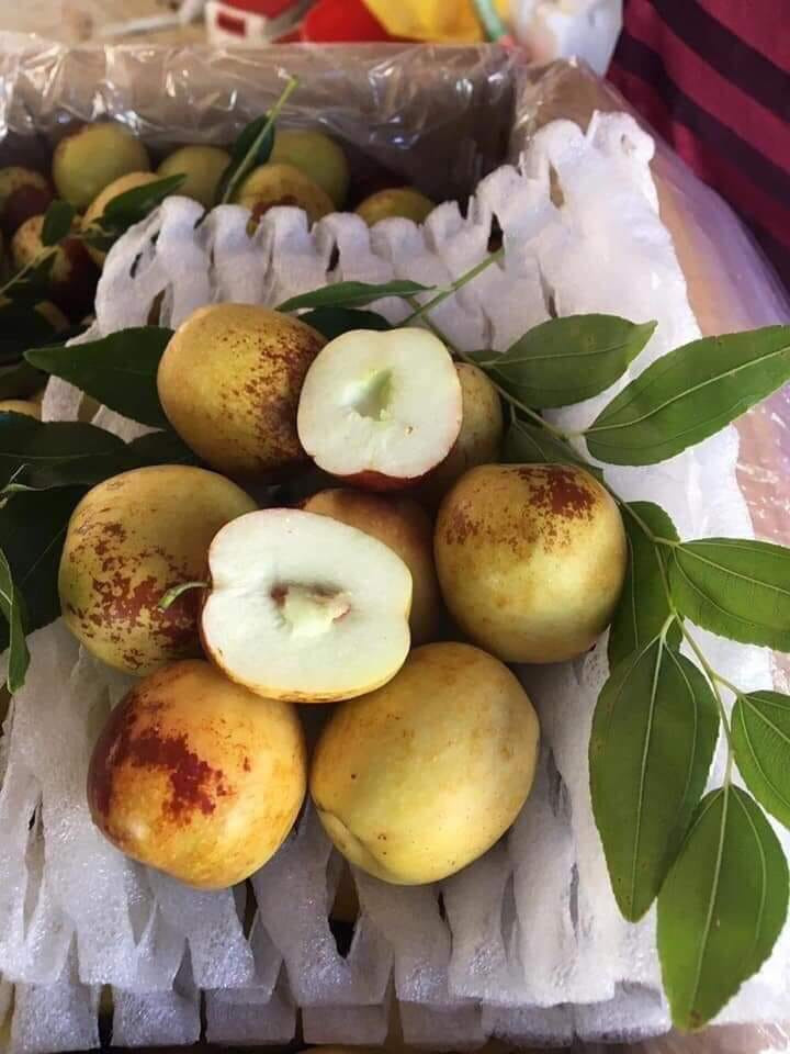 Khoảng 3 ngày, chị Thúy mới có một chuyến hàng về (50kg) nhưng hầu hết là chỉ đủ cho khách đã đặt trước.