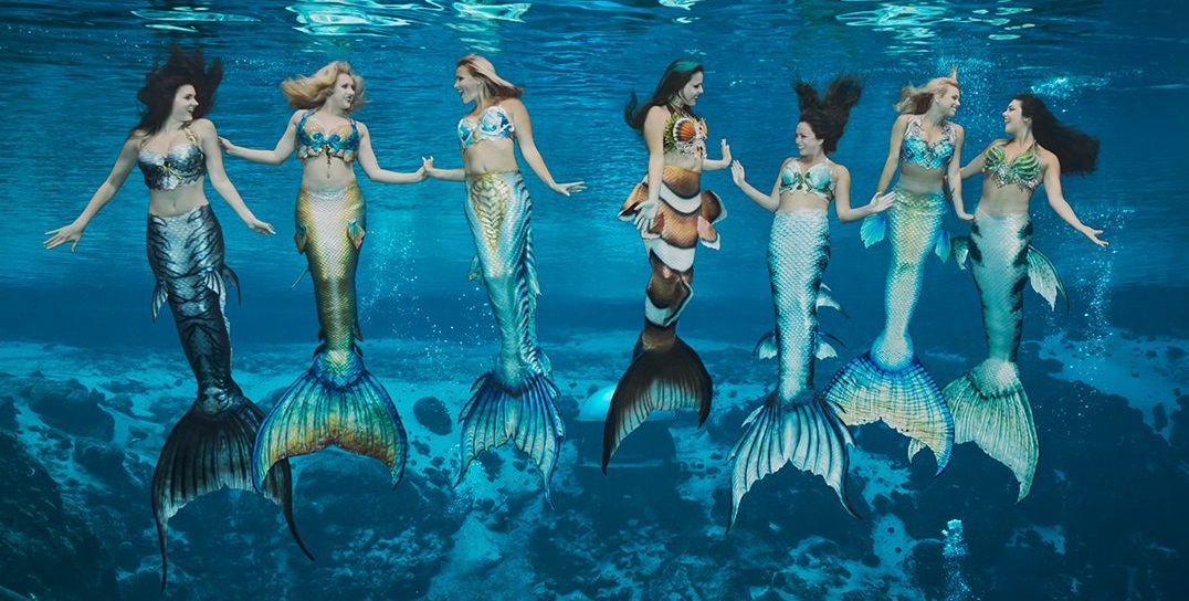 Nàng tiên cá không chỉ còn là nhân vật trong truyện cổ tích, nó đang trở thành một nghề.