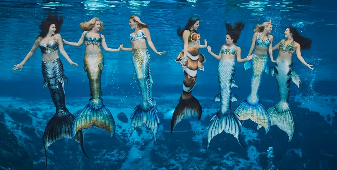 Nàng tiên cá không chỉ còn là nhân vật trong truyện cổ tích, nó đang trở thành một nghề.