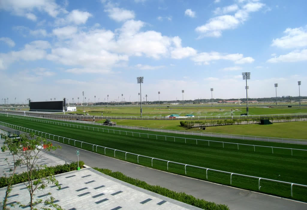 Thái tử Fazza sống trong một cung điện riêng ở khu thượng lưu của Dubai, nơi có nhiều cây xanh.