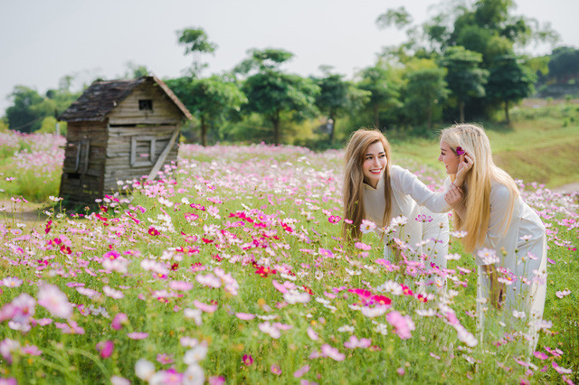 Betsy và Nicole là hai trong số các cô bạn ngoại quốc say mê vẻ đẹp của hoa cúc họa mi của Việt Nam và đã rủ nhau đến cánh đồng hoa thả dáng để có được những "pô" ảnh ấn tượng tại đất nước hình chữ S xinh đẹp.