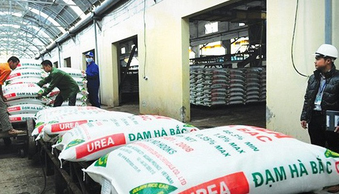 Dam Bac Ha lo luy ke, am von so huu, Tong giam doc moi co du suc cuu vot?