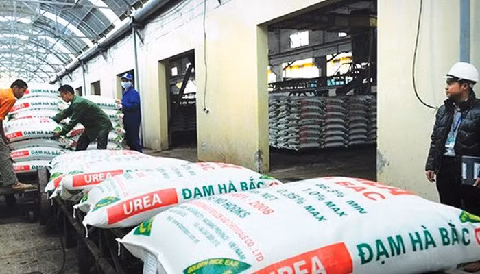 Dam Bac Ha lo luy ke, am von so huu, Tong giam doc moi co du suc cuu vot?