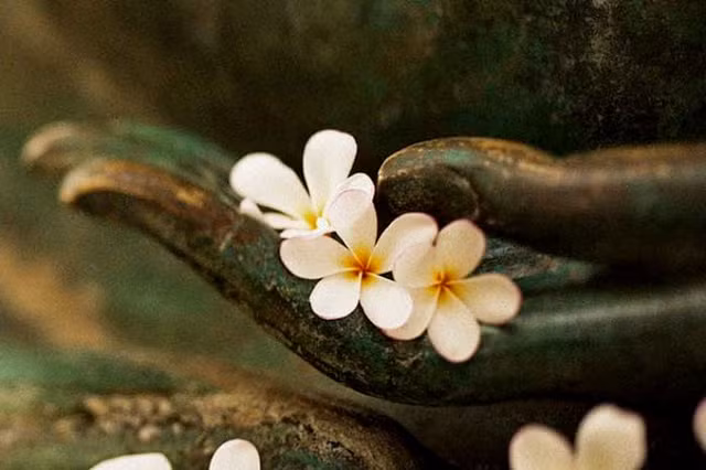 Doi nguoi lam duoc 3 viec nay, phong thuy nua doi con lai tu nhien khoi sac