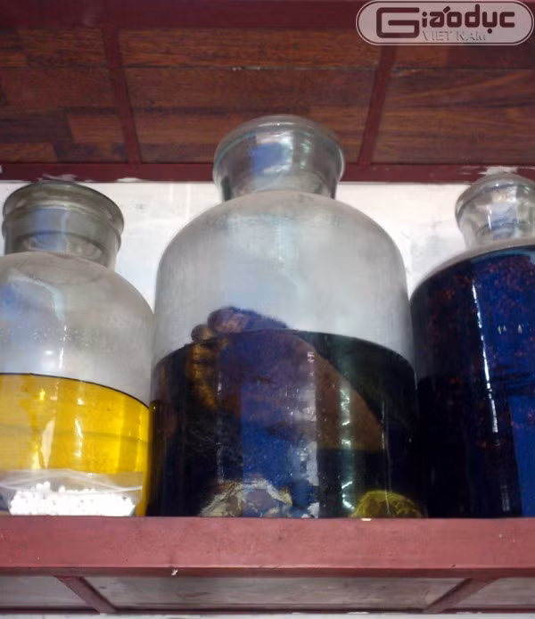 Vì vậy, với những cách dùng rượu thuốc theo dân gian, cần thận trọng để không bị tiền mất, tật mang hoặc bị những tai biến đáng tiếc xảy ra. Đó là chưa kể, những động vật bị bệnh, nhiễm virus hạch, lao… nếu sử dụng sẽ là nguồn mang bệnh vào người. Ảnh: Giaoducvietnam.