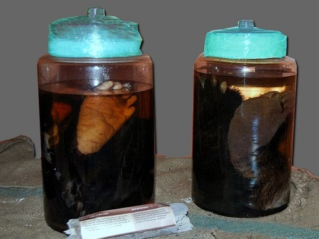 Còn thầy thuốc nhân dân Nguyễn Xuân Hướng, Chủ tịch Hội Đông y Việt Nam cho biết, trong các bài thuốc bổ thận tráng dương của Đông y không có các vị từ gấu hoặc hổ. Ảnh: Vietnamnet.