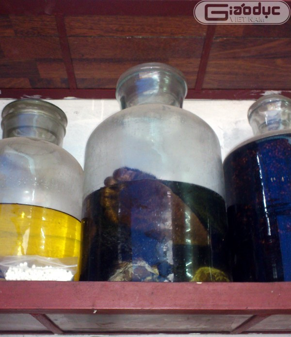 Vì vậy, với những cách dùng rượu thuốc theo dân gian, cần thận trọng để không bị tiền mất, tật mang hoặc bị những tai biến đáng tiếc xảy ra. Đó là chưa kể, những động vật bị bệnh, nhiễm virus hạch, lao… nếu sử dụng sẽ là nguồn mang bệnh vào người. Ảnh: Giaoducvietnam.