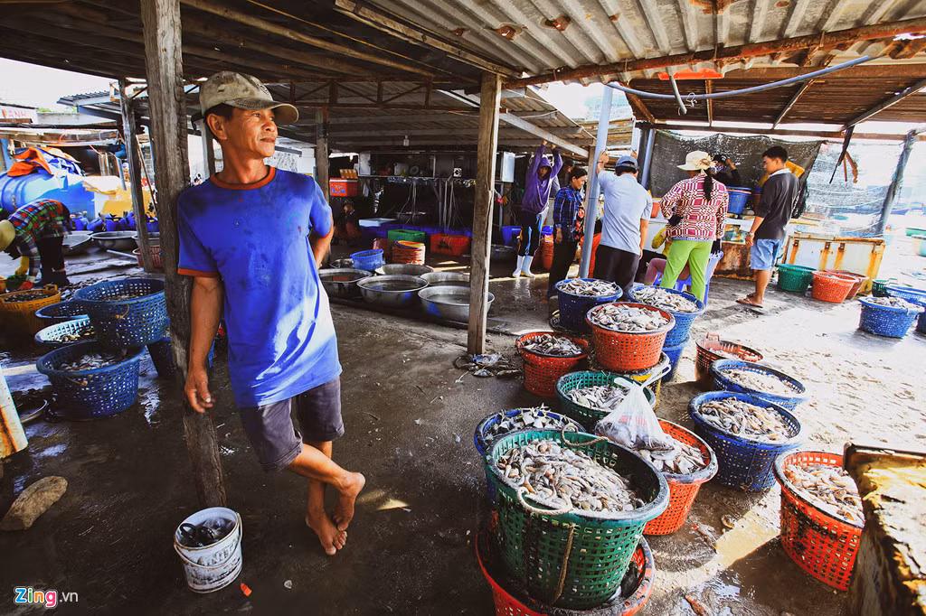 Nghiên cứu của Đại học Harvard (Mỹ) dự báo số ca tử vong do ô nhiễm không khí từ nhiệt điện than ở Việt Nam sẽ tăng từ gần 5.000 người năm 2011 lên gần 20.000 người vào năm 2030.