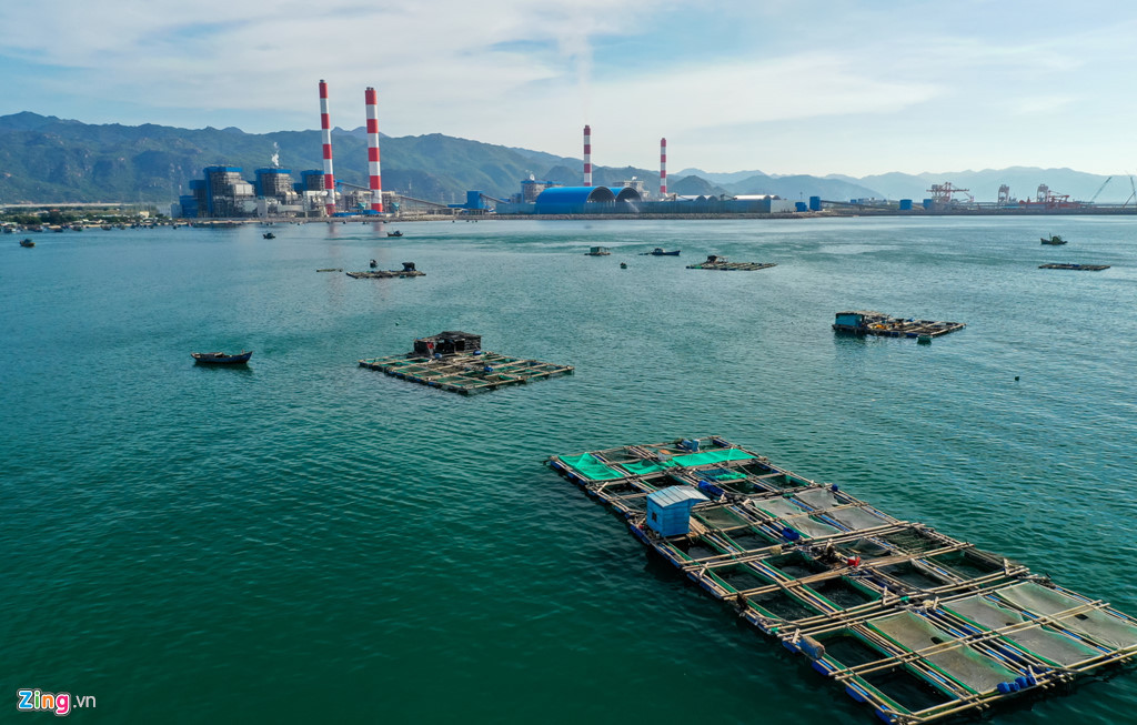 Vào tháng 6/2018, nhiều hộ nuôi cá nuôi lồng bè trên vùng biển Vĩnh Tân, cách trung tâm Điện lực Vĩnh Tân khoảng 1 km, cho biết có hiện tượng chết hàng loạt chưa rõ nguyên nhân.