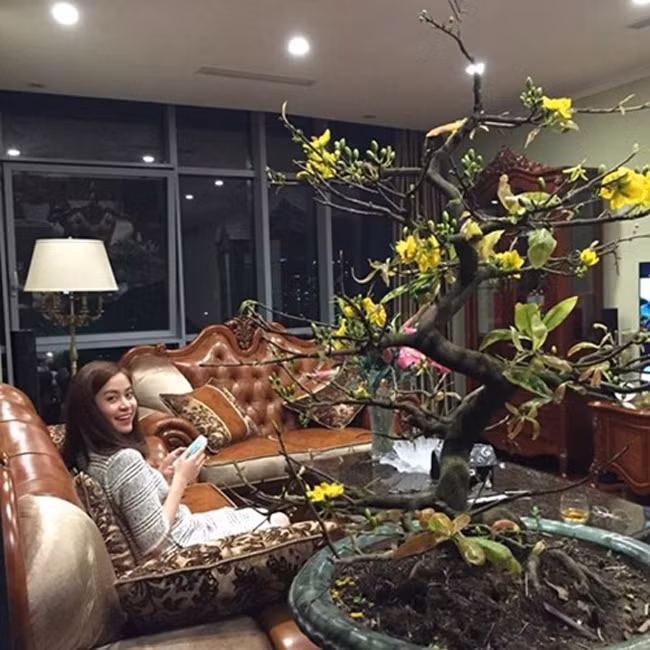 Thi thoảng, nữ ca sĩ mới khoe hình ảnh căn chung cư này trên mạng xã hội. Ảnh: Vietnamnet.