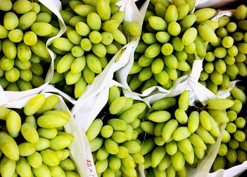 Tháng 8 - 9 là chính vụ thu hoạch nho móng rồng tại Nhật Bản. Nguồn ảnh: Mia Fruit.