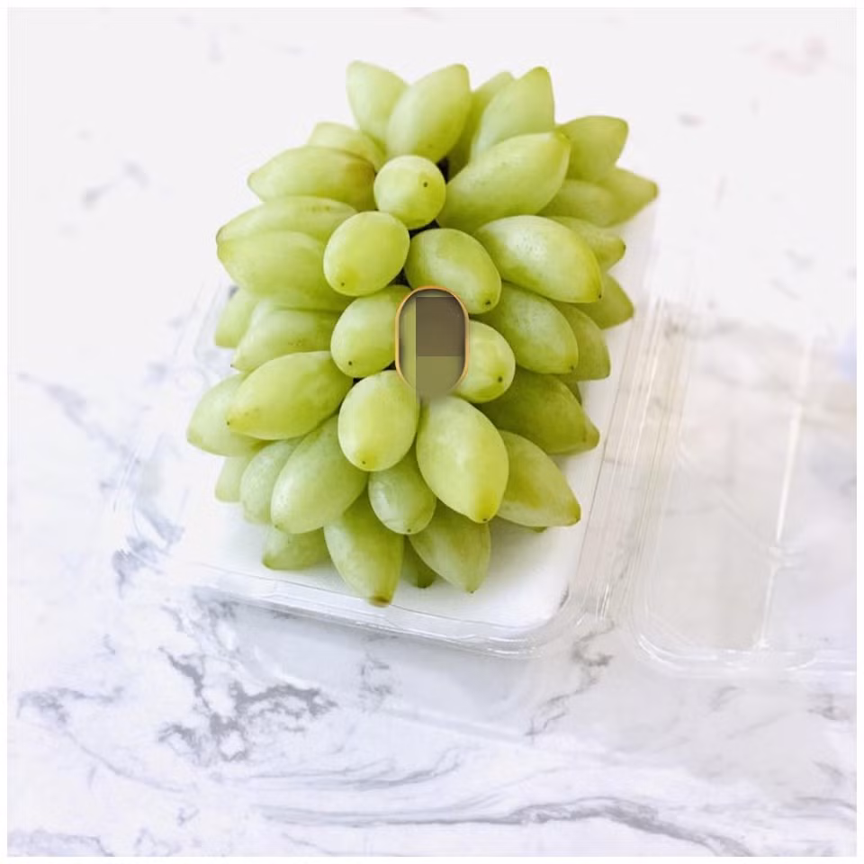 Nho móng rồng Nhật có hình dáng thuôn dài, quả cứng giòn, chắc thịt và có màu vàng chanh tươi sáng.