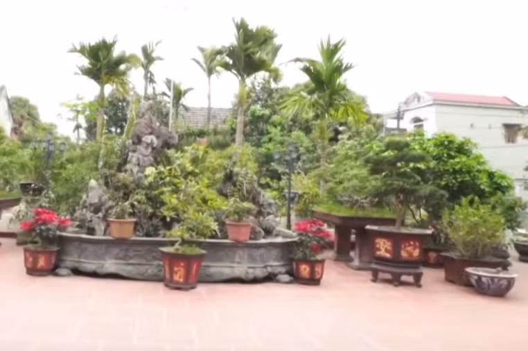 Đáng chú ý, trong sân nhà tiền vệ tài hoa này có một bộ sưu tập đủ loại cây cảnh và hoa đẹp mắt. Ảnh: Vlog Minh Hải