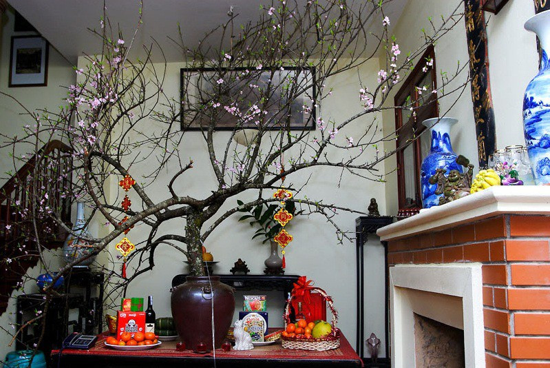 Tuy nhiên, điểm khác biệt là ở chỗ nhiều người giàu sẽ chơi các loại đào thế, mai thế lâu năm, được tạo dáng cầu kỳ.