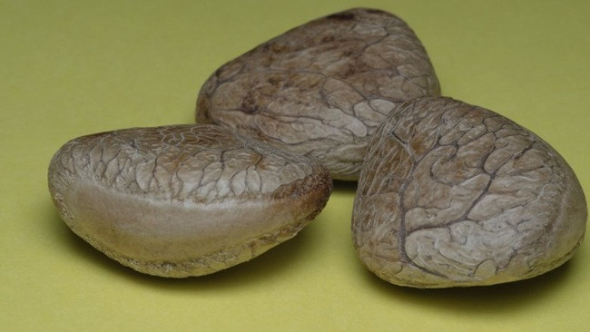 Thu an ngay co the chet, luoc roi vui tro 40 ngay thanh dac san tien trieu-Hinh-3