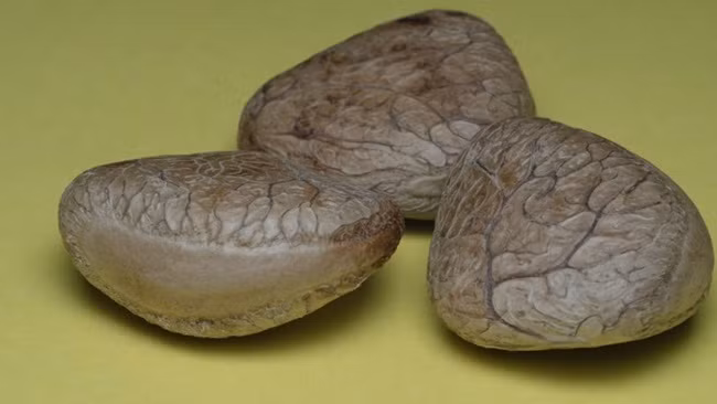 Thu an ngay co the chet, luoc roi vui tro 40 ngay thanh dac san tien trieu-Hinh-3